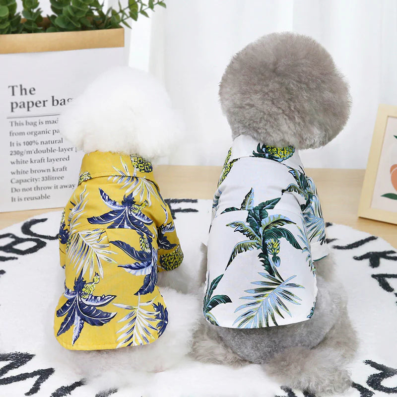Tropisches Flair für Ihren Vierbeiner: Unser Hawaiianisches Hundehemd für den Sommerurlaub