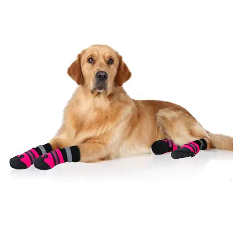 Sicher & Warm im Winter: Unsere Rutschfesten Herbst- & Winter-Gehschuhe für Hunde