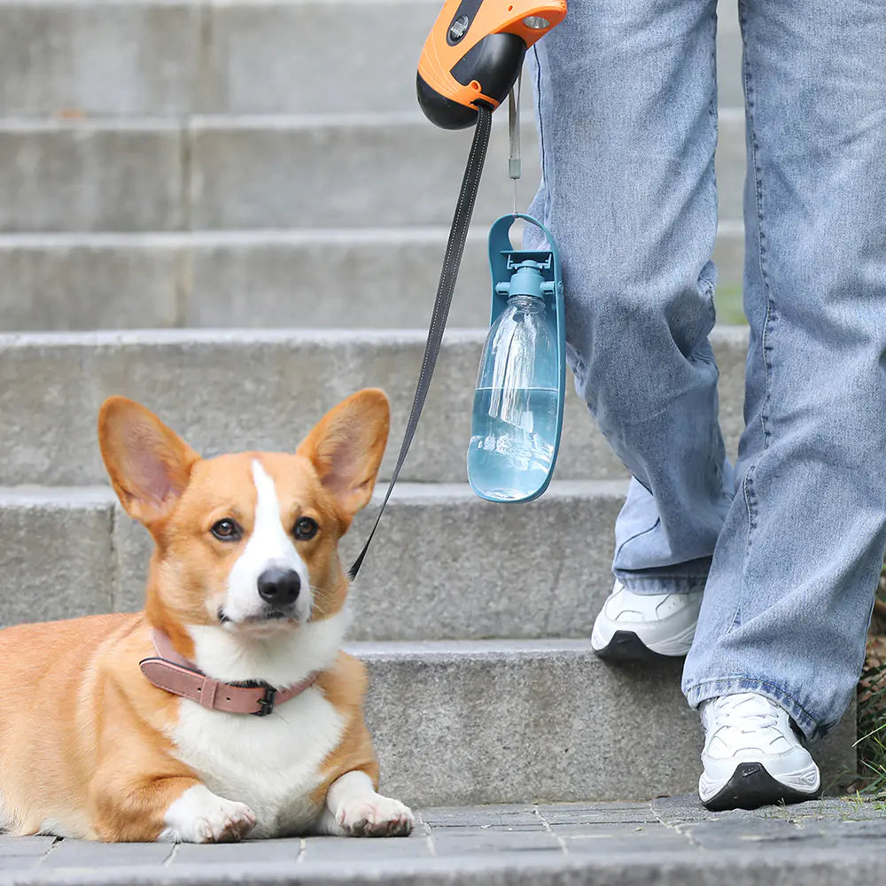 Hydration Unterwegs: Die Portable Hunde-Trinkflasche mit Futterspender!