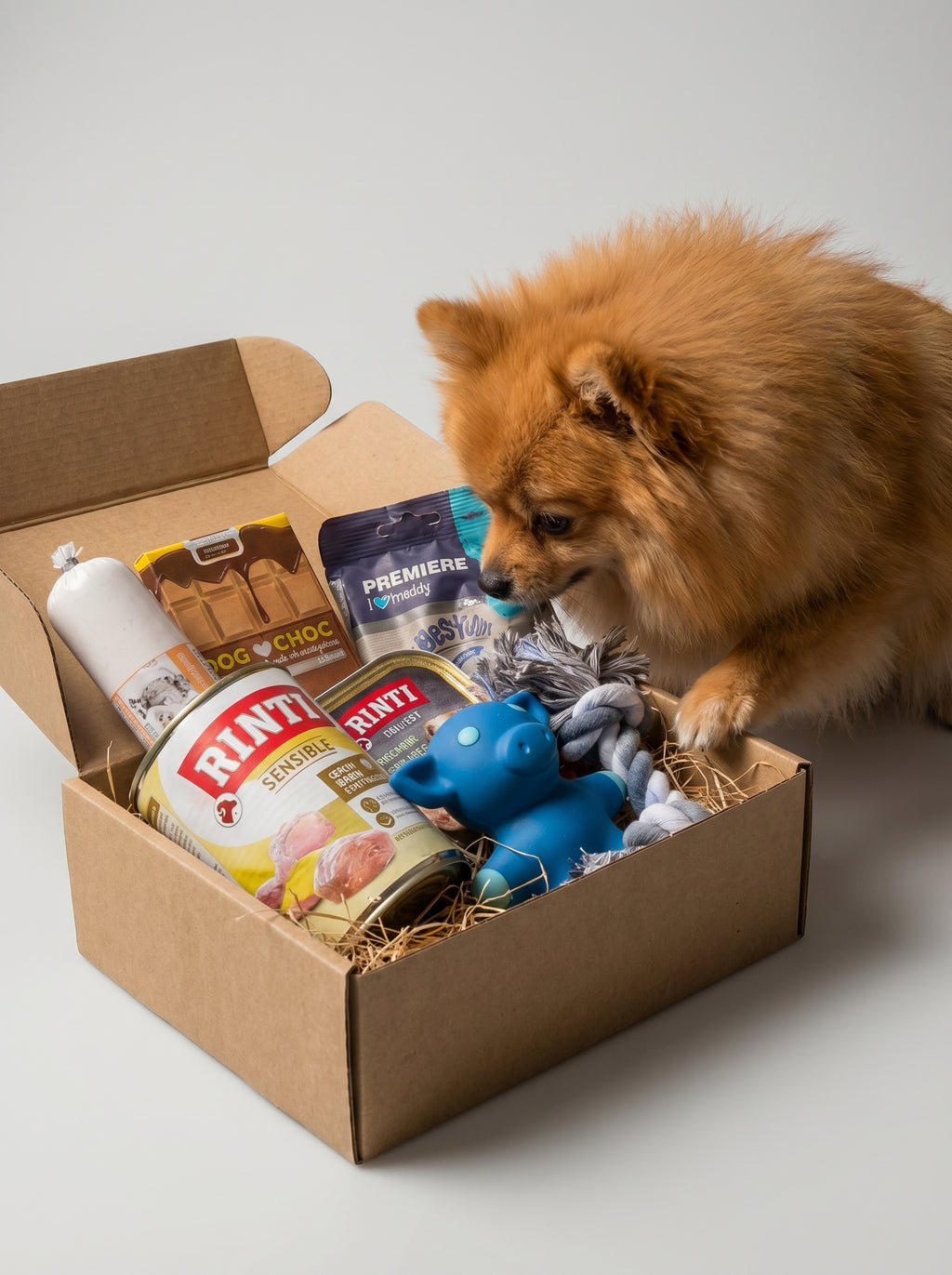WufiBox für kleine Hunde