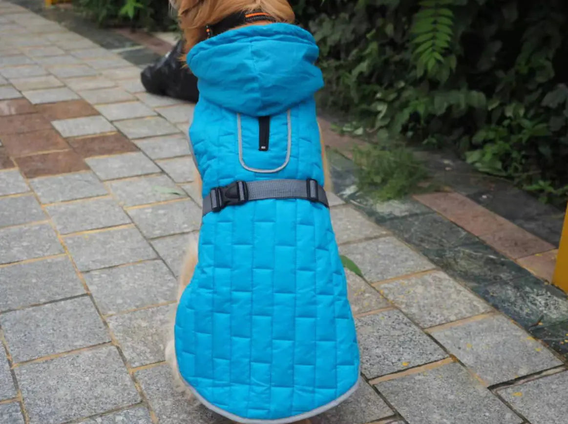 Doppelseitiger Schutz & Stil: Unser Wasserdichter Mantel für Grosse Hunde