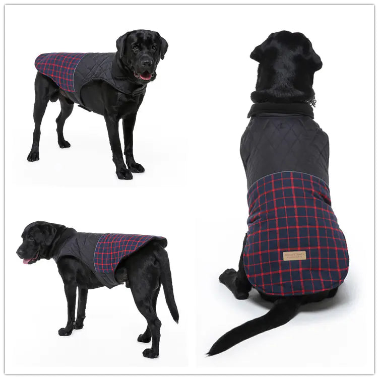 Warm & Winddicht: Unser Karierter Wintermantel für Hunde – Perfekt für Kleine bis Grosse Rassen