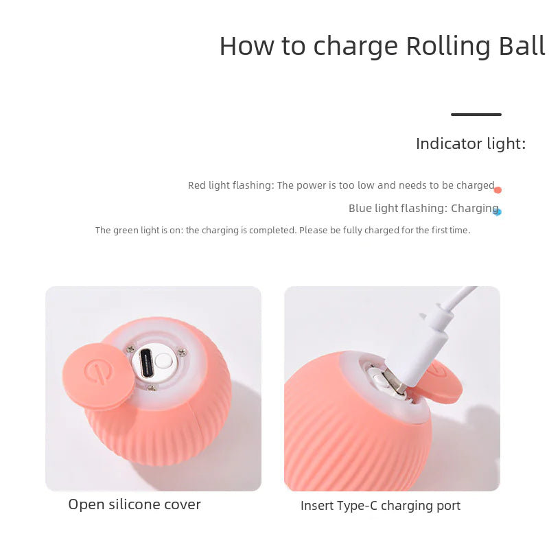 Der Gravity Rolling Ball für Ihre Katze
