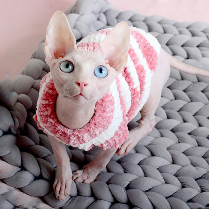 Fashion-Statement für Nacktkatzen: Unsere Modische Persönlichkeit Neue Katzenkleidung ohne Haare