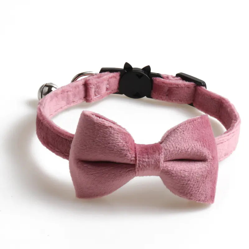Katzenhalsband mit Samtschleife und Glöckchen