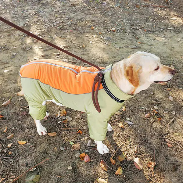 Wärme & Stil für Goldene Retriever: Unser Gemütlicher Coral-Fleece Mantel für Mittelgrosse & Grosse Hunde