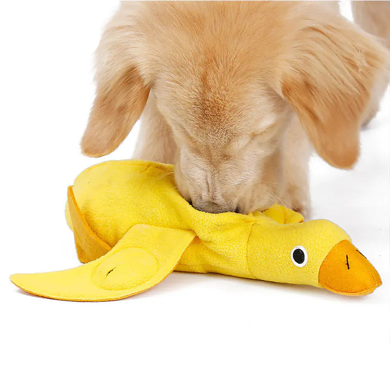 Der interaktive Plüsch-Entenspielzeug: Spielspaß und Komfort für Ihren Hund!