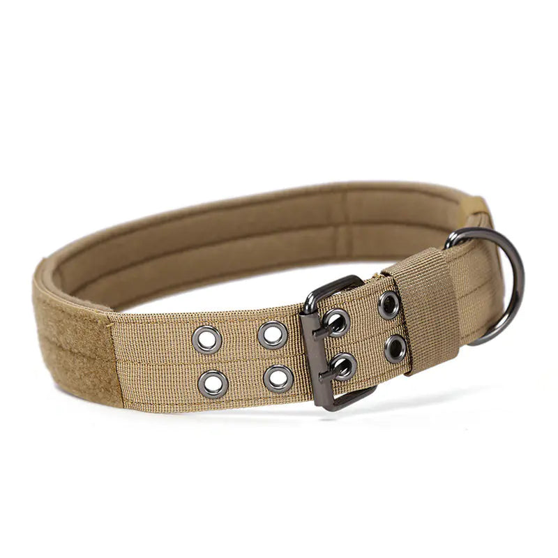 Hundehalsband: Robuster Komfort für mittlere & große Rassen!
