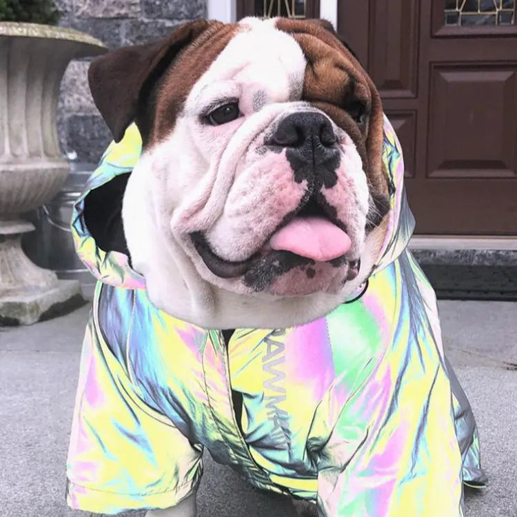 Sicher & Stilvoll im Regen: Unser Reflektierender Hunde-Regenmantel