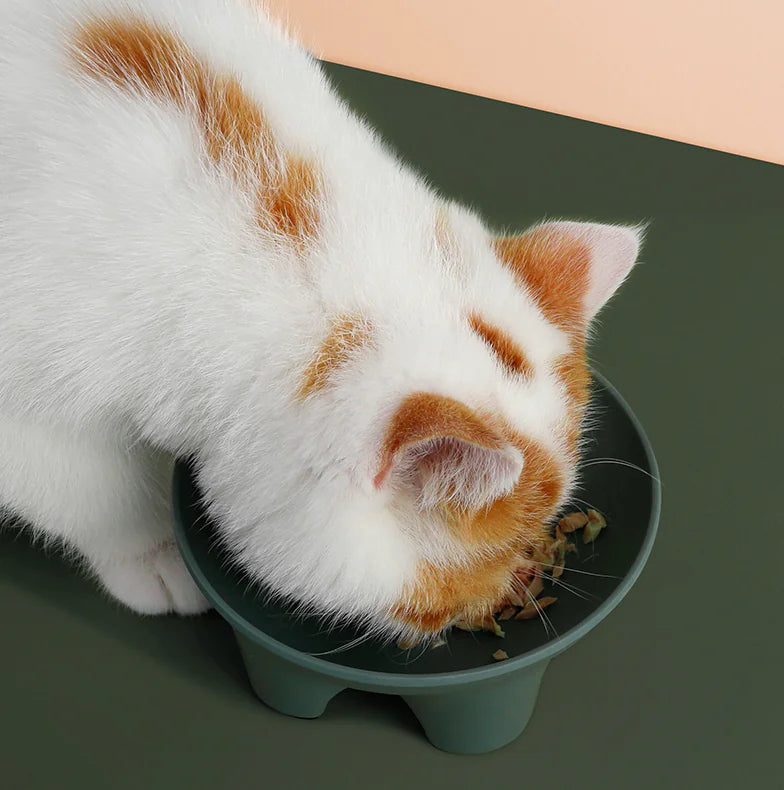 Die perfekte Futterlösung: Unser Anti-Spill-Napf für Haustiere!