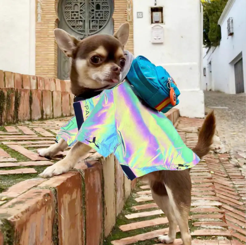 Sicher & Stilvoll im Regen: Unser Reflektierender Hunde-Regenmantel