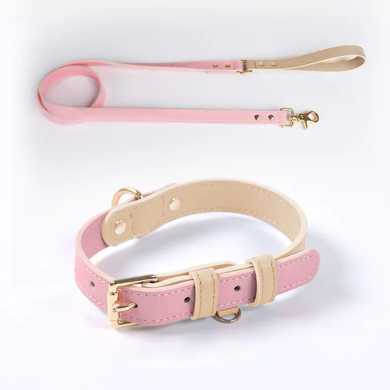 Leder-Hundeleine und -Halsband-Set