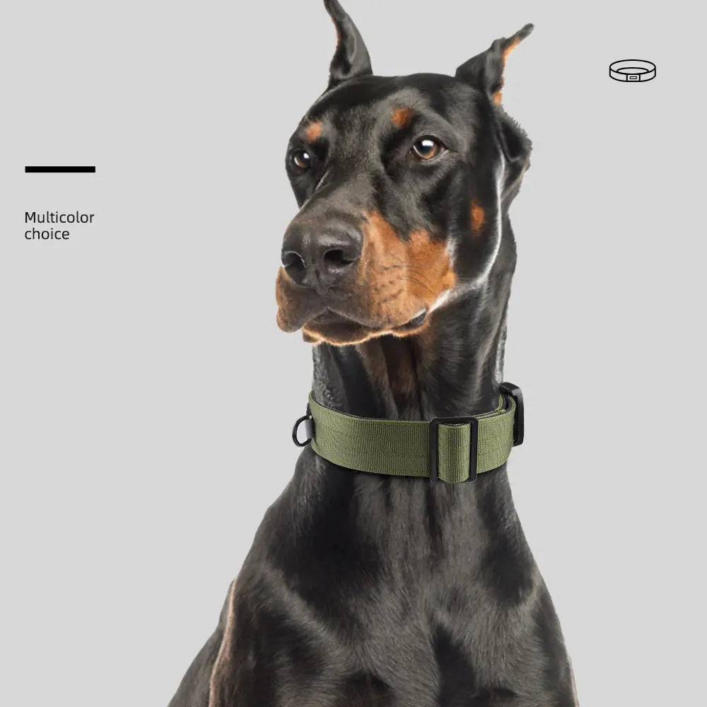 Das Halsband: Taktisch, Robust & Stilvoll für Mittelgroße bis Große Hunde