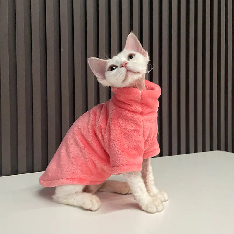 Eleganz für Ihre Nacktkatze: Entdecken Sie unsere Mode- & Persönlichkeits-Kollektion
