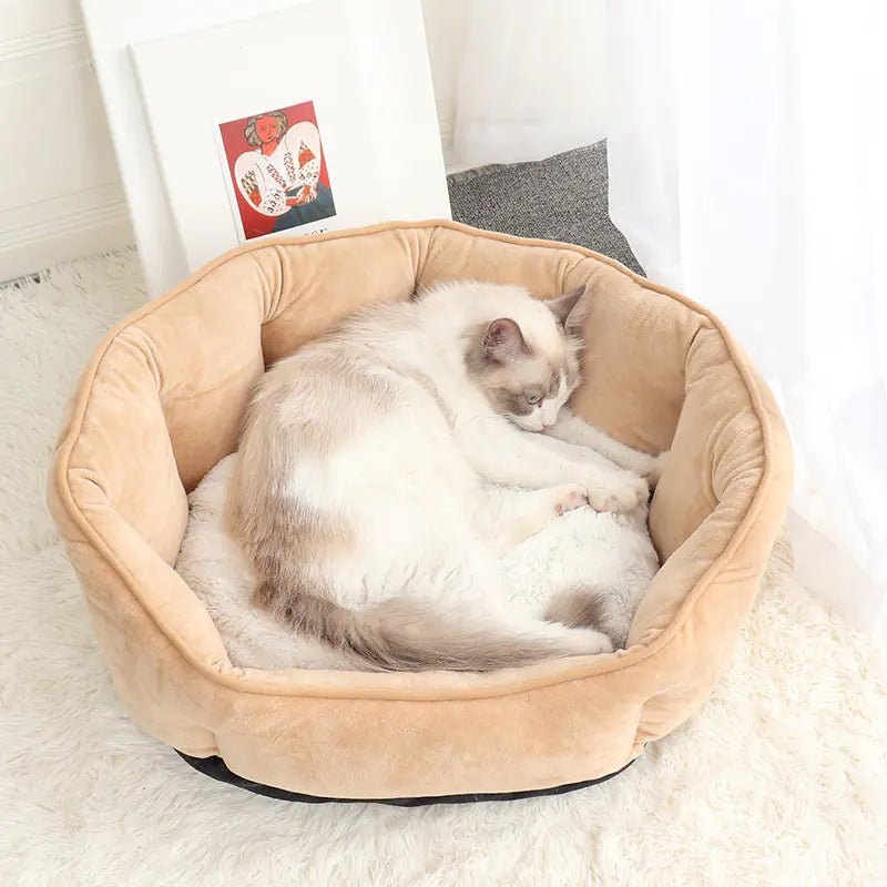 Bezauberndes Muschelförmiges Haustierbett für Katzen & Hunde