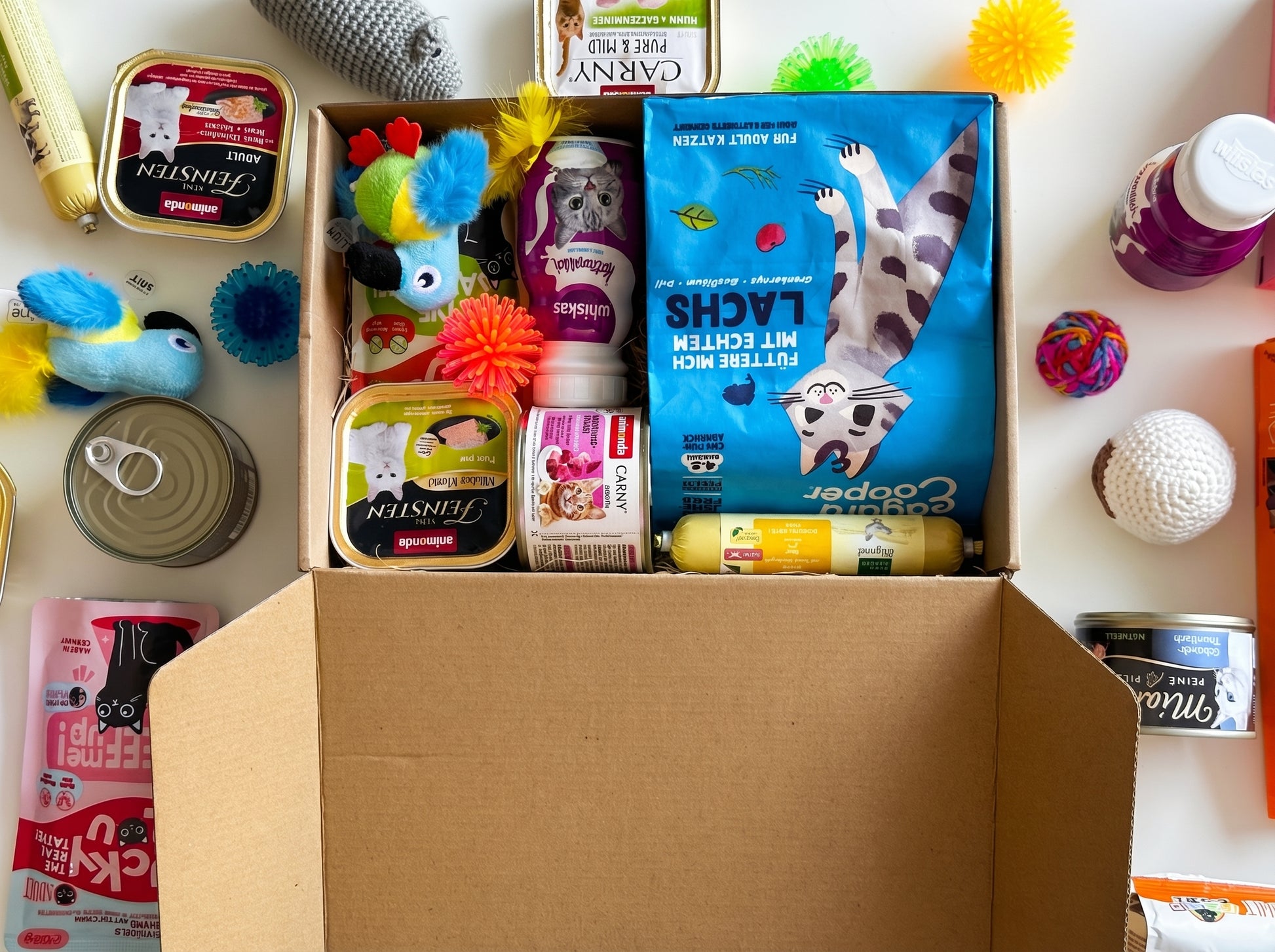 WufiBox für Katzen