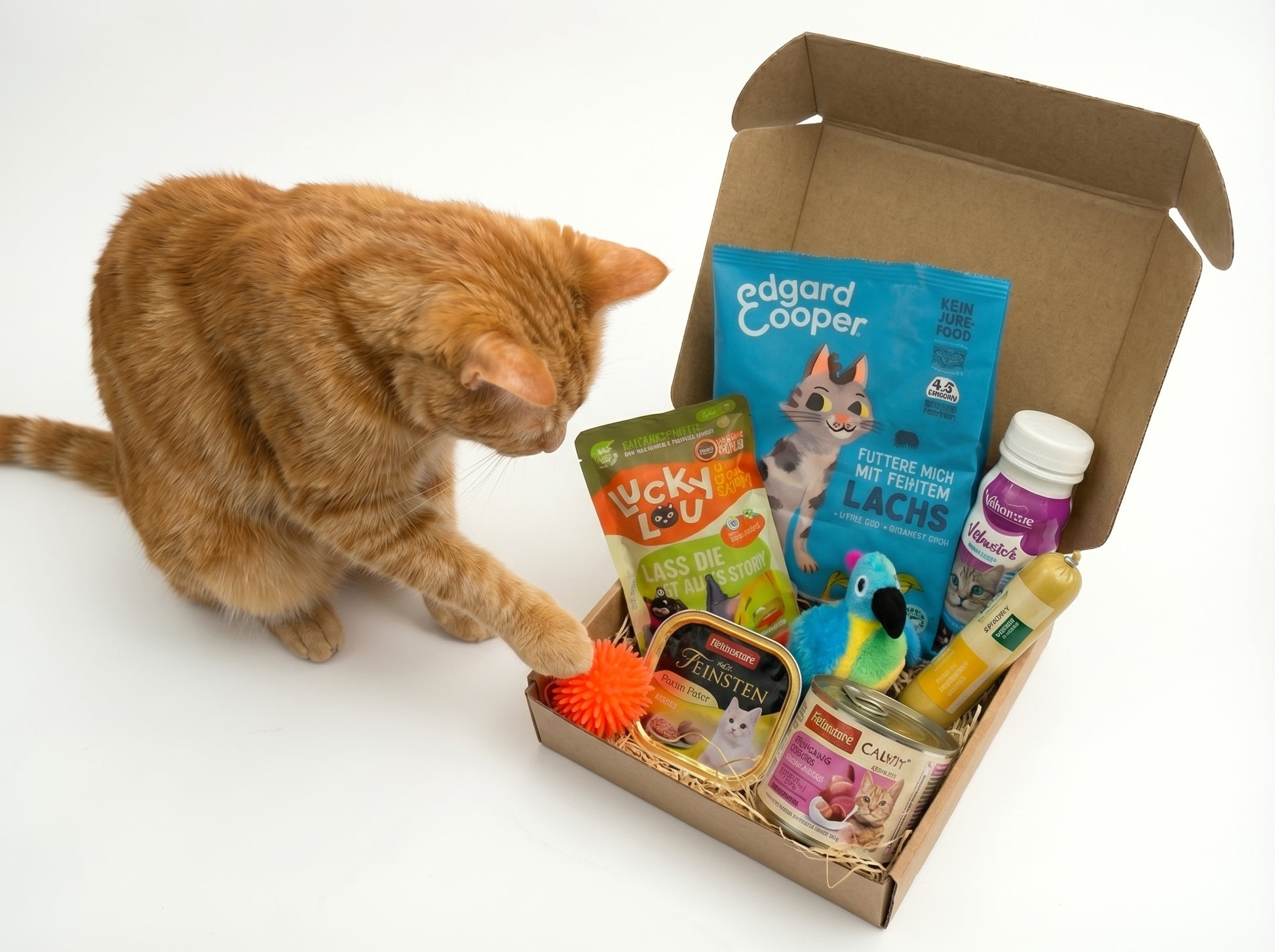 WufiBox für Katzen