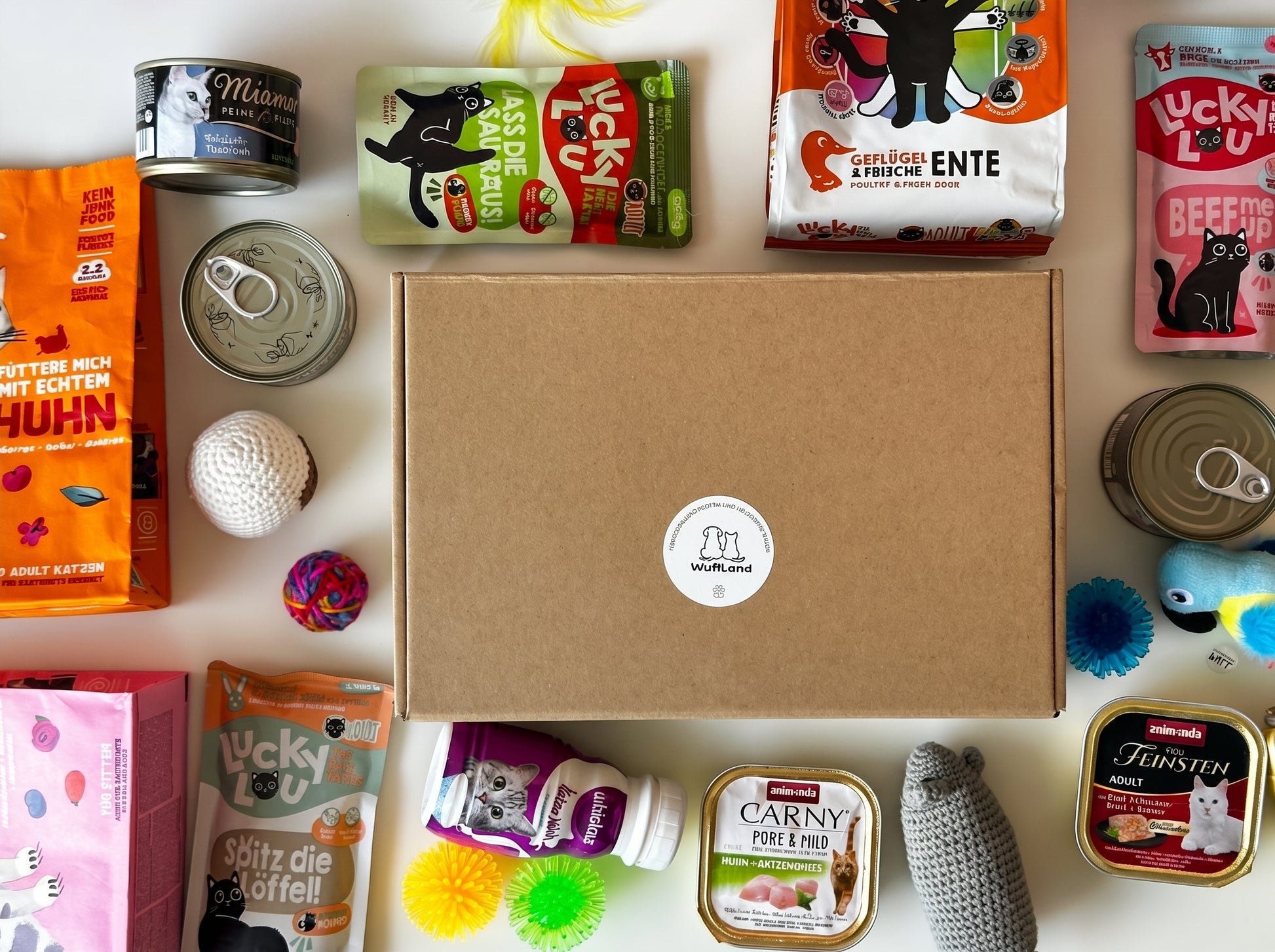 WufiBox für Katzen