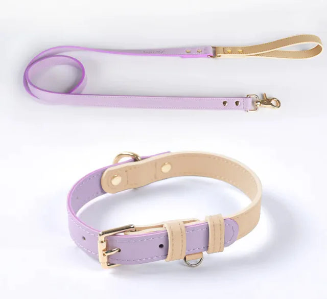 Leder-Hundeleine und -Halsband-Set