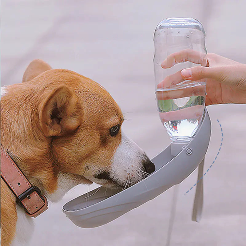 Hydration Unterwegs: Die Portable Hunde-Trinkflasche mit Futterspender!