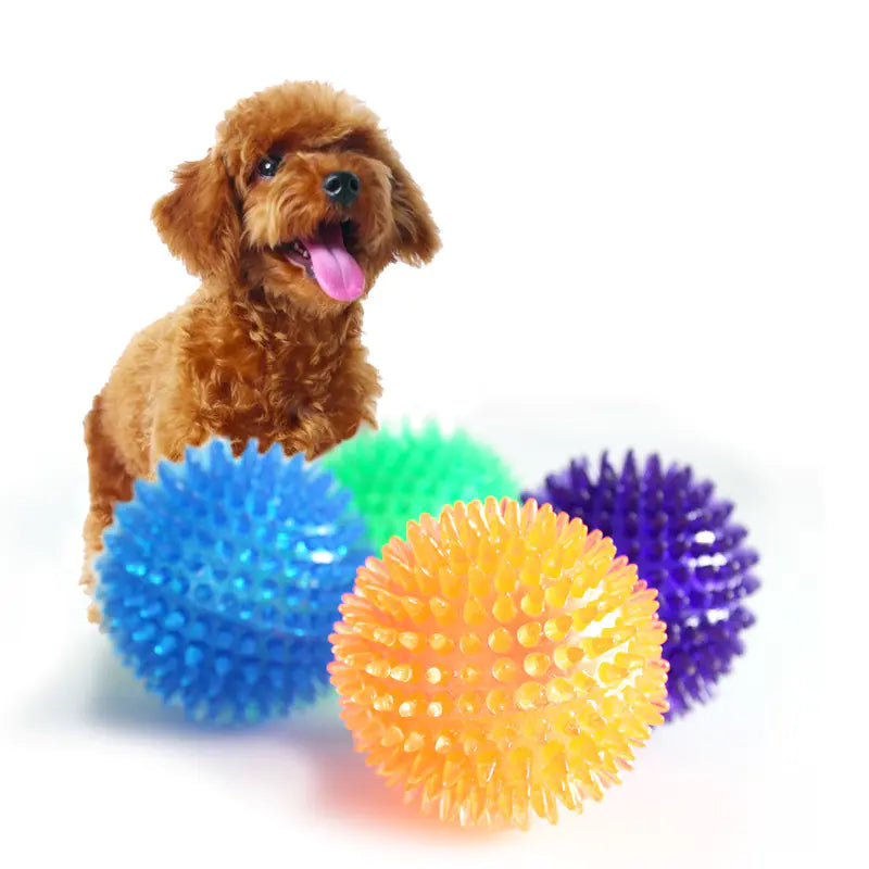 Der Transparente Elastische Hunde-Zahnbürsten-Massageball: Spielend gesunde Zähne!