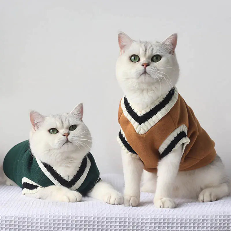 Warm & Schick durch den Winter: Unsere Gestrickte Winterweste für Haustiere im Akademischen Stil