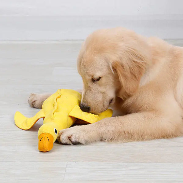 Der interaktive Plüsch-Entenspielzeug: Spielspaß und Komfort für Ihren Hund!