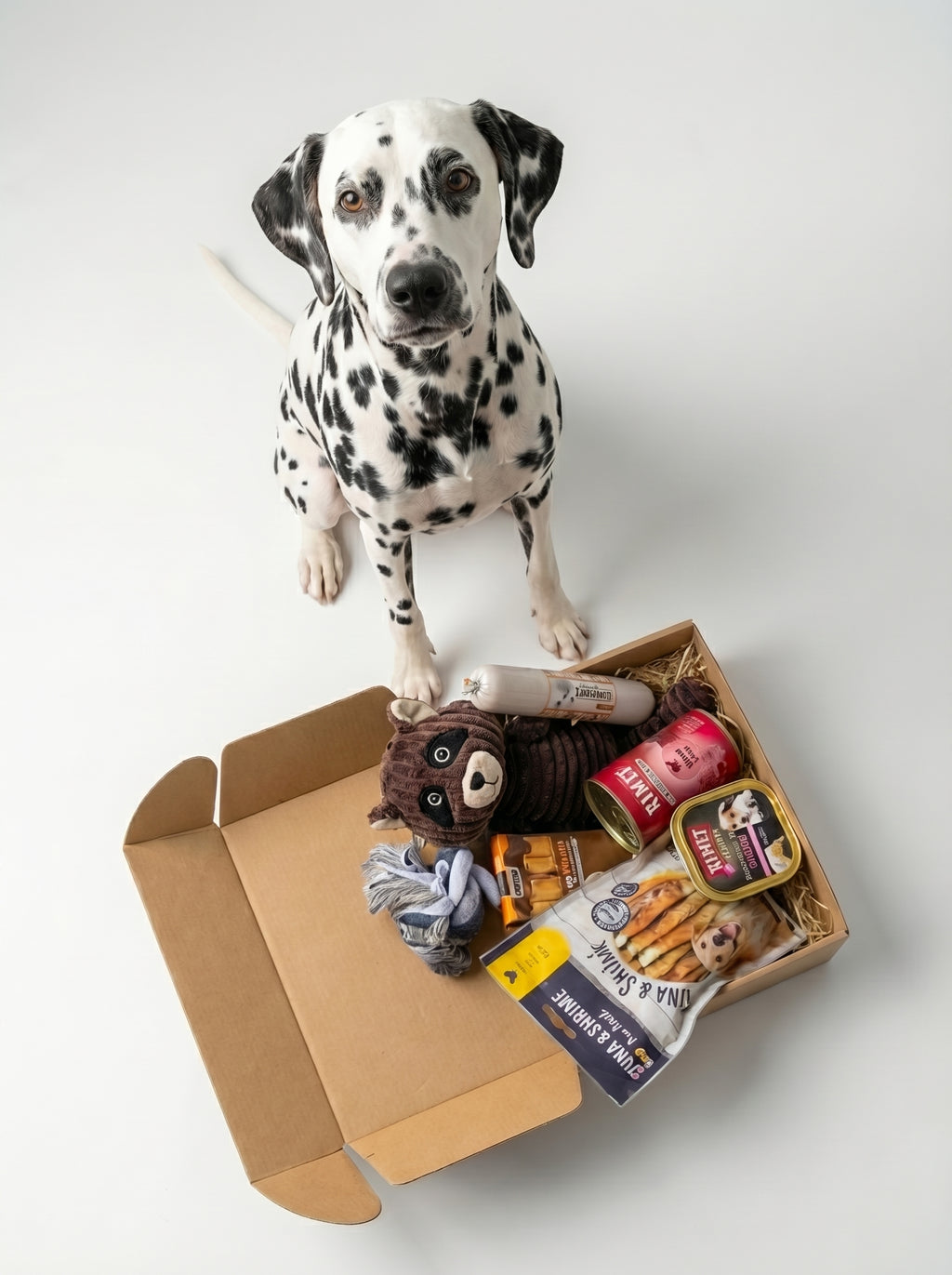 WufiBox für große Hunde