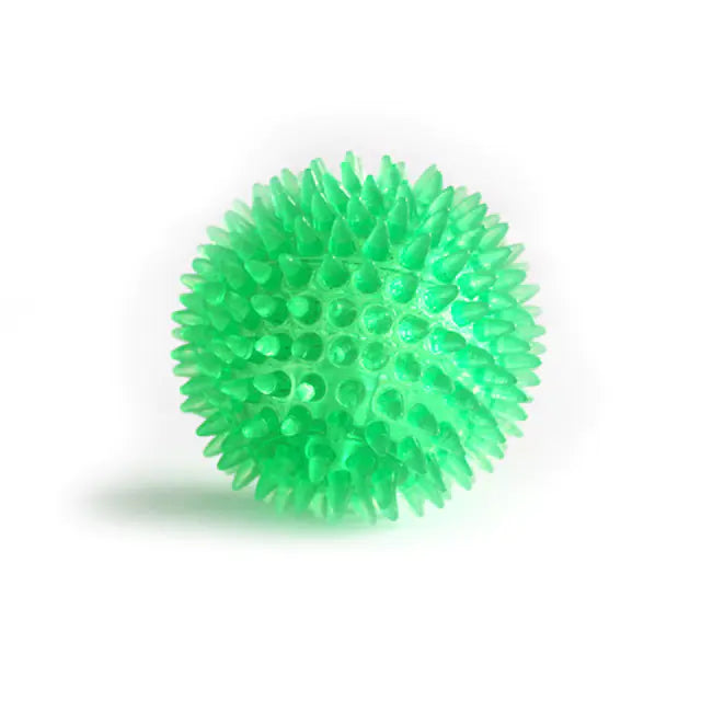 Der Transparente Elastische Hunde-Zahnbürsten-Massageball: Spielend gesunde Zähne!