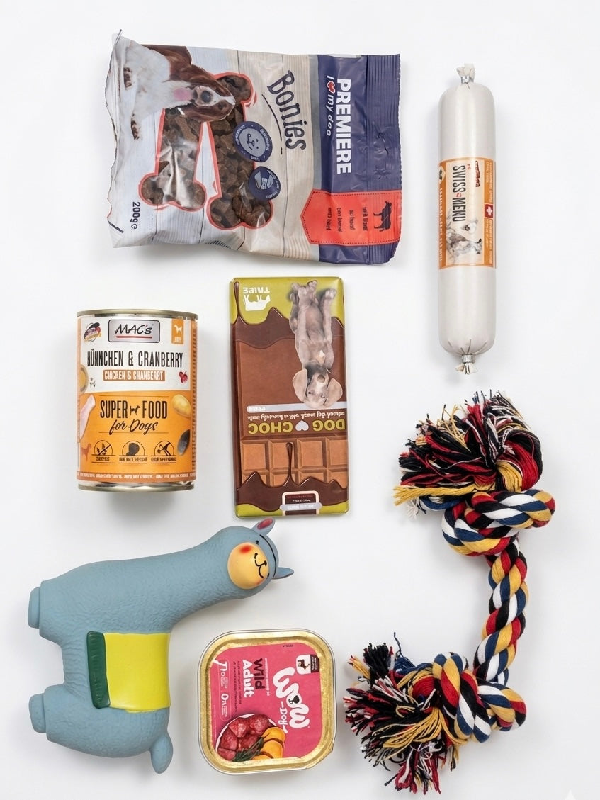WufiBox für mittelgroße Hunde