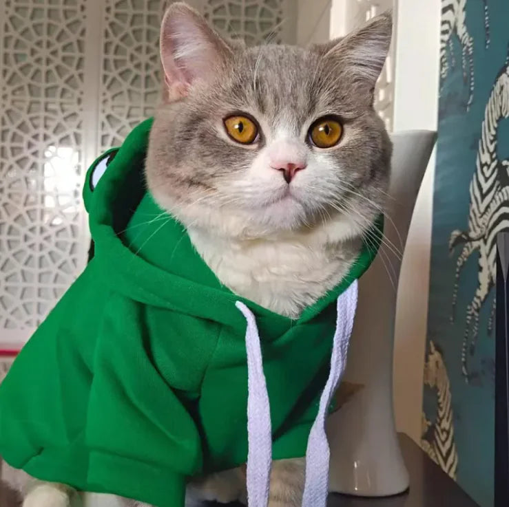 Kuscheliger Frosch-Hoodie für Haustiere: Weiche, Warme Kleidung für Katze & Hund
