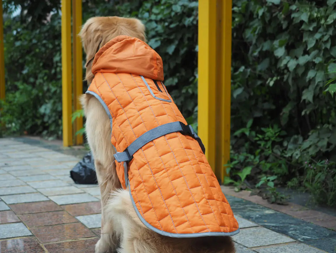 Doppelseitiger Schutz & Stil: Unser Wasserdichter Mantel für Grosse Hunde