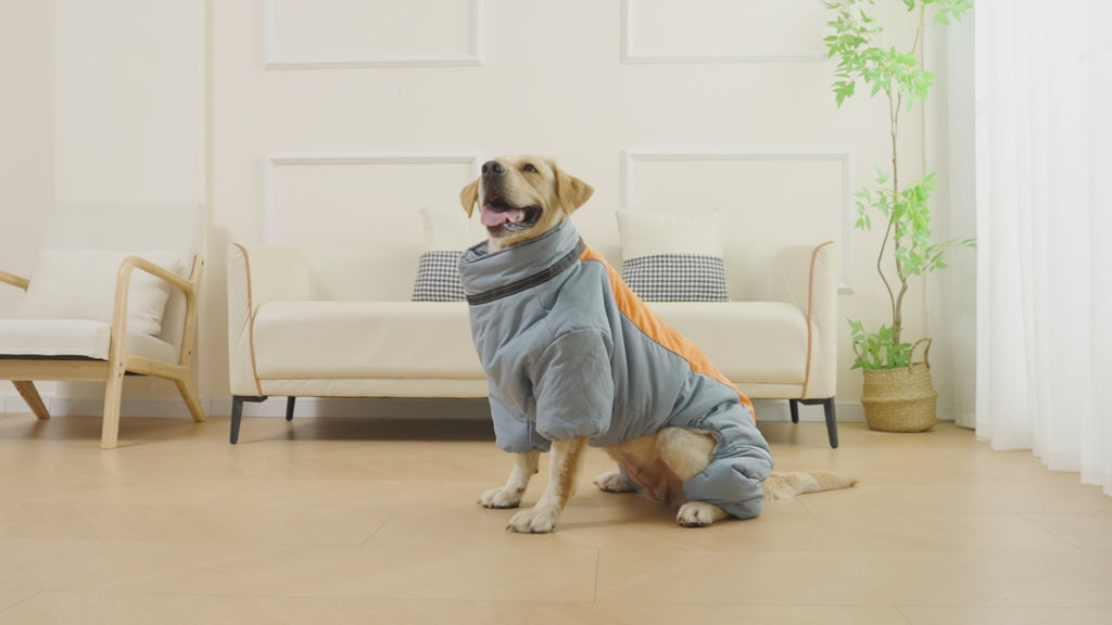Wärme & Stil für Goldene Retriever: Unser Gemütlicher Coral-Fleece Mantel für Mittelgrosse & Grosse Hunde