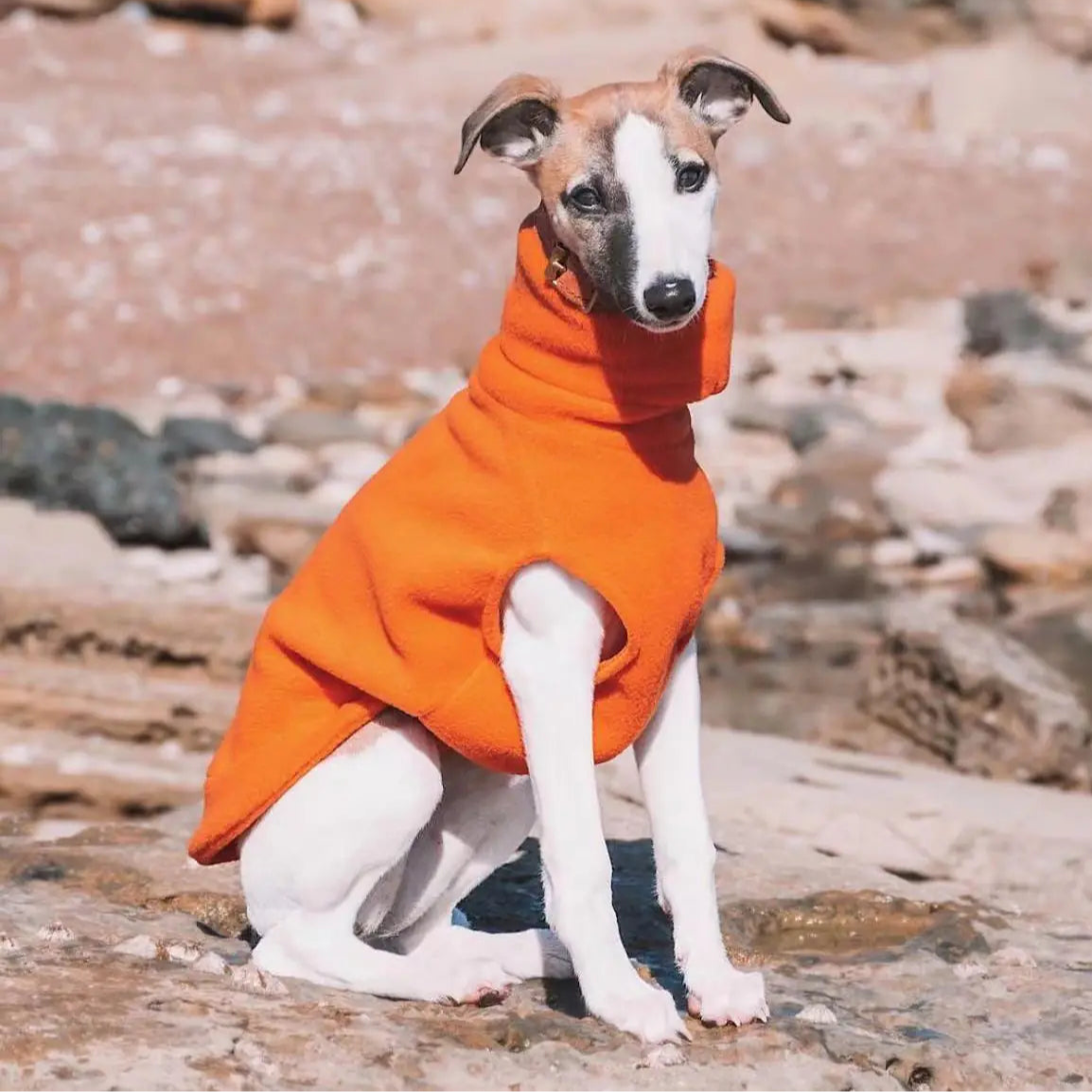 Warm & Stilvoll: Unser Premium Polar Fleece Rollkragen-Hundeanzug – Der Ideale Kälteschutz