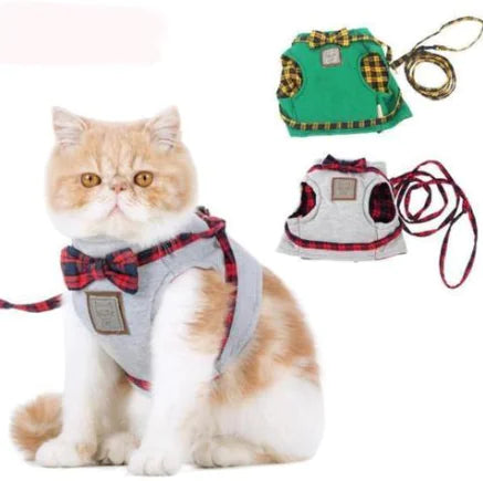 Katzen-Geschirr- und Leinen-Set