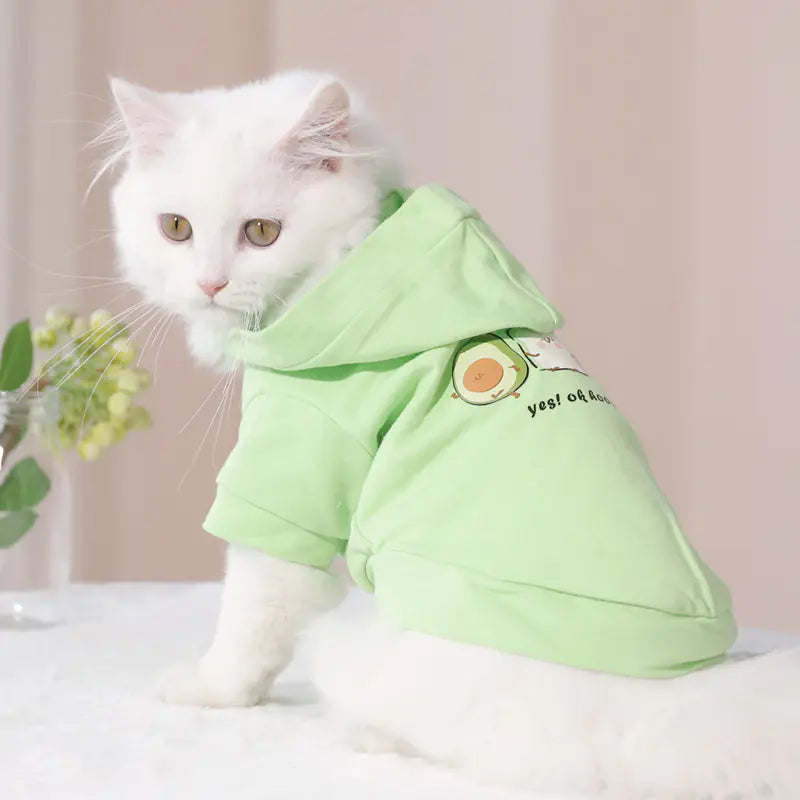 Stylisch & Kühl durch den Sommer: Unser Hoodie für Kätzchen