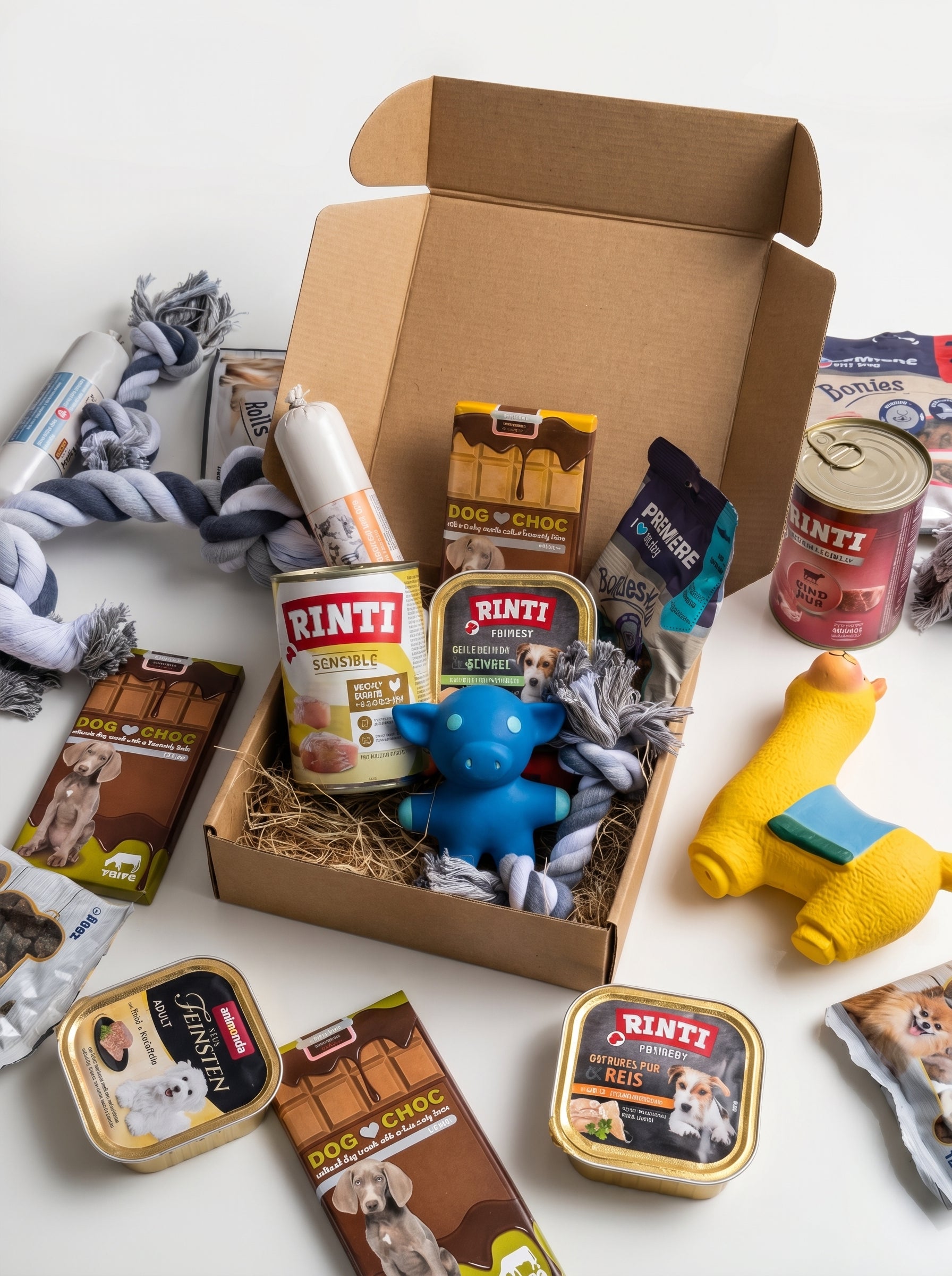 WufiBox für kleine Hunde