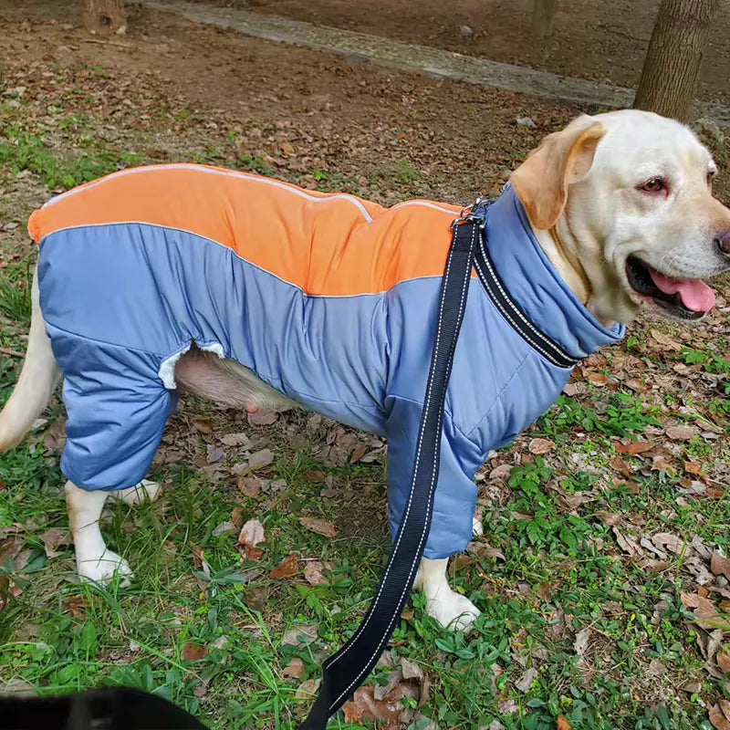 Wärme & Stil für Goldene Retriever: Unser Gemütlicher Coral-Fleece Mantel für Mittelgrosse & Grosse Hunde