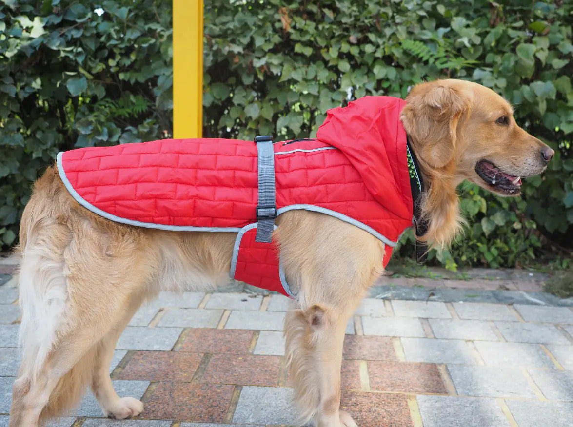 Doppelseitiger Schutz & Stil: Unser Wasserdichter Mantel für Grosse Hunde