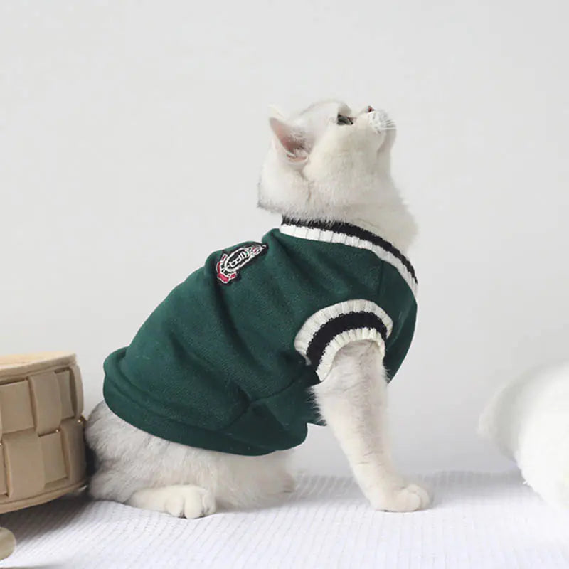 Warm & Schick durch den Winter: Unsere Gestrickte Winterweste für Haustiere im Akademischen Stil