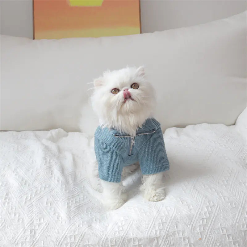 Heben Sie die Garderobe Ihres Haustieres hervor: Unser Katzenpullover mit Stehkragen und Reißverschluss