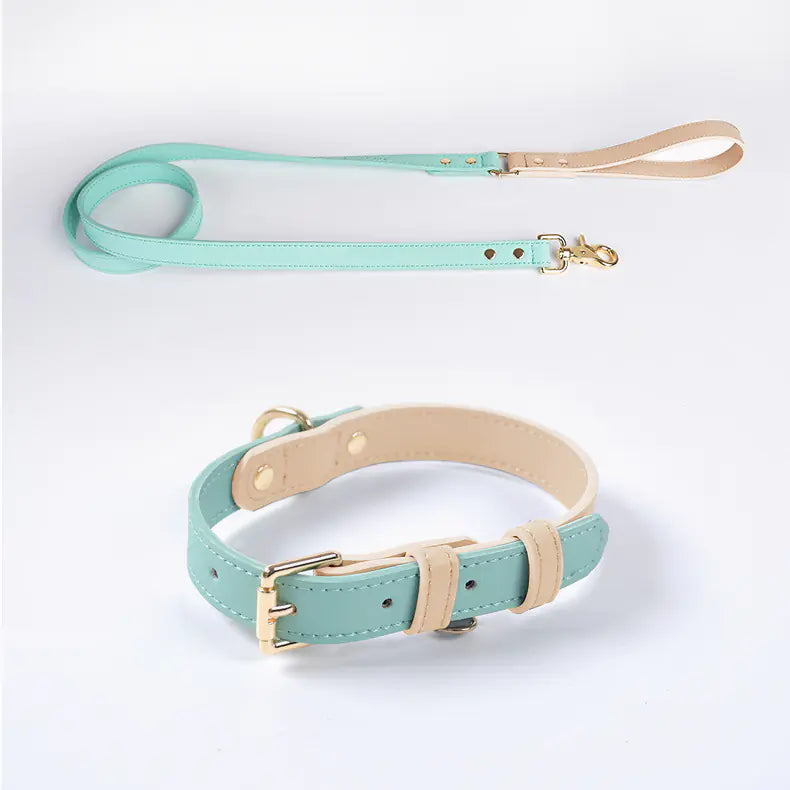 Leder-Hundeleine und -Halsband-Set