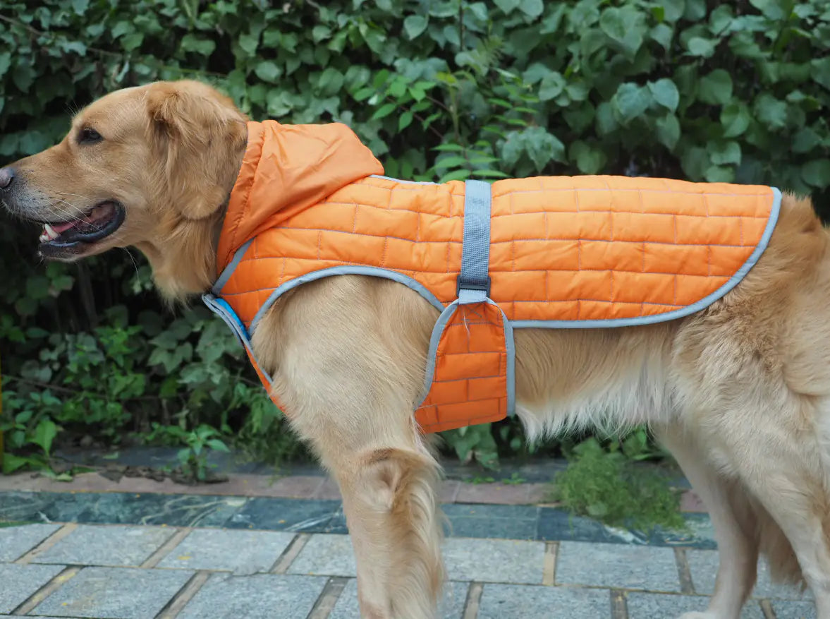 Doppelseitiger Schutz & Stil: Unser Wasserdichter Mantel für Grosse Hunde